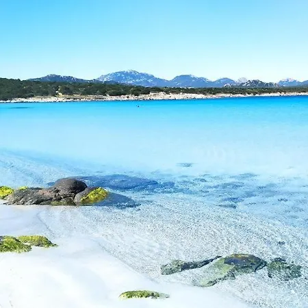 Yellow Sun Apartamento *